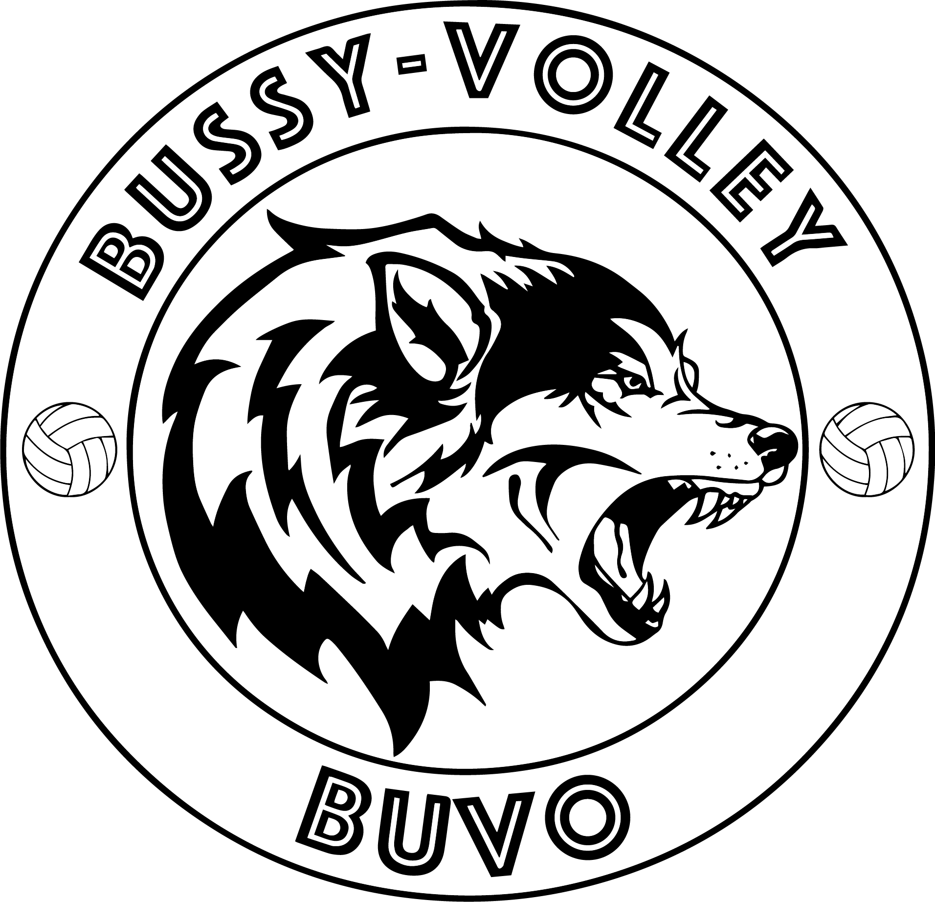 Bussy Volley